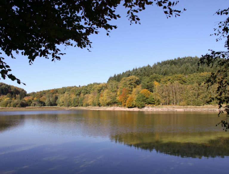 Paysages Du Morvan De Vert Et D Eau Morvan Nature Lumi Res