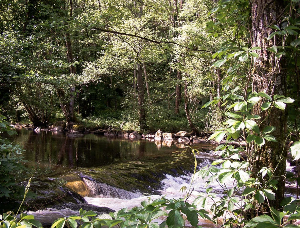 Paysages Du Morvan De Vert Et D Eau Morvan Nature Lumi Res