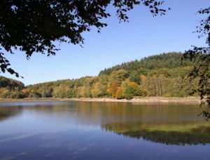 paysages du Morvan : Lac de Chamboux, début de l'automne 