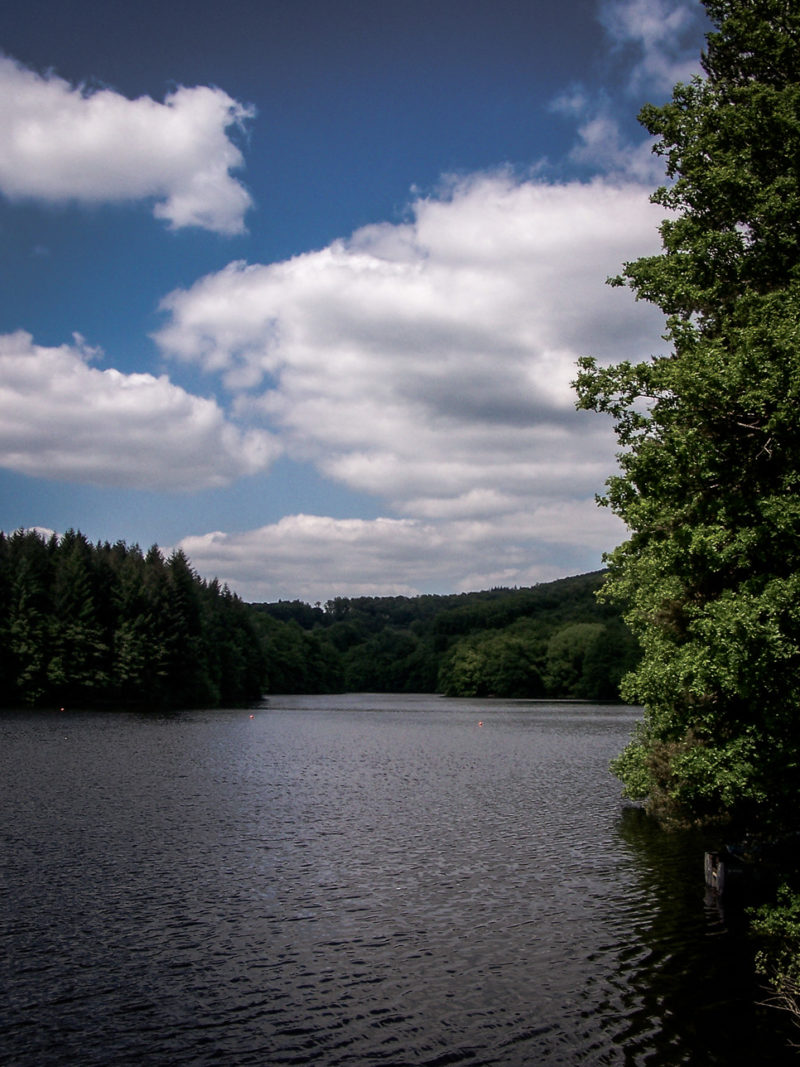 Lac de Chaumeçon MORVAN Nature & Lumières